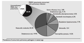 PRRS行業(yè)動(dòng)態(tài)全解析 行情走勢、企業(yè)管理與行業(yè)趨勢